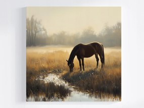 Poszter Tájkép Szabadtéri Rét Ló Gesztenye Reggel Köd 80x80