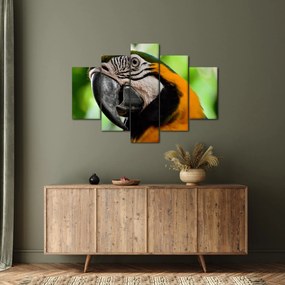Papagáj képe (150x105 cm)
