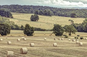 Poszter 86,4x56,8cm Szénakazalok a mezőkön 2, Assaf Frank