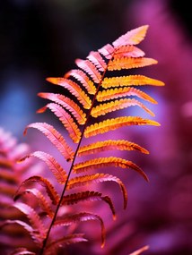 Poszter 60x80cm Őszi tűz