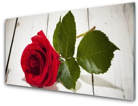 Akrilüveg fotó Rózsa Virág növény természet 100x50 cm