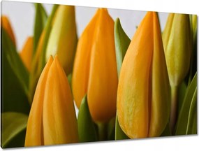 Vászonkép 120x80 Sárga tulipánok