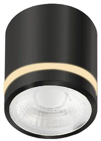 AZZARDO 6039 VICI Hengeres Mennyezeti Lámpa Fekete LED IP44