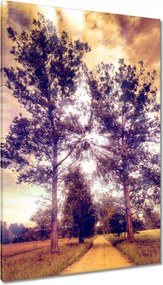Festmények 80x120 Fák az út mellett