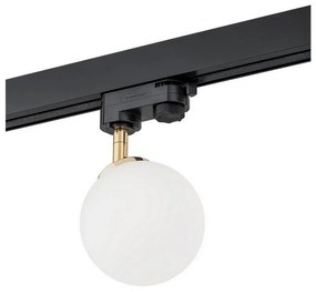 Argon 4307 - Spotlámpa sínrendszerhez BANG 1xG9/6W/230V sárgaréz