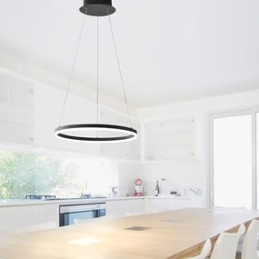 Paul Neuhaus 2381-13 - LED Dimmelhető csillár zsinóron TITUS LED/28W/230V