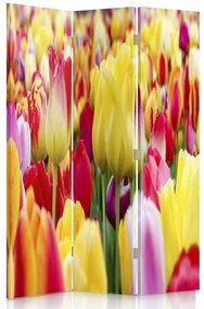 Gario Paraván Többszínu tulipánok Méret: 110 x 170 cm, Kivitelezés: Forgó paraván 360°