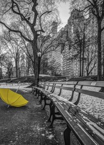 Poszter 39,5x55cm SĂĄrga esernyĆ az ösvĂ©nyen a Central Parkban 2, Assaf Frank