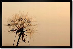 Poszterek keretben 60x40 Pitypang Virág Virágok