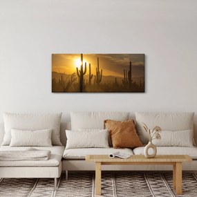Kép - Saguaro kaktuszok (120x50 cm)
