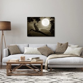 Üveg kép - Éjjeli bagoly, arany (70x50 cm)