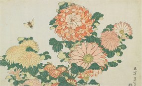 Tapéta Flizelin Falfestmény Prémium Krizantém Virágok 416x254 Ragasztó