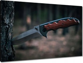 Vászonkép 90x60 Kés a fa kérgébe szúrva