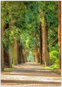 Poszterek A4 Pion Tájkép