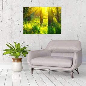 Kép - Az erdő tavaszi ébredése (70x50 cm)