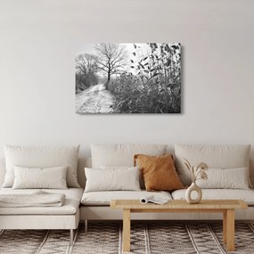Kép - Mezők télen (90x60 cm)