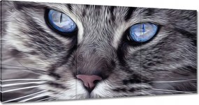 Vászonkép 60x30 Cica Cicák