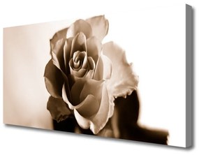Vászonfotó Rózsa Virág Plant 120x60 cm