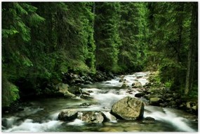 Poszterek 120x80 Folyó a Tátrában