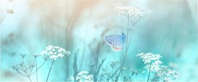 Kép - Pillangó kékben (120x50 cm)