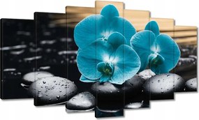 Vászonkép 140x80 Türkiz orchidea Virág