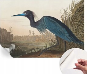 Mosható öntapadós fotótapéta étkezőbe Vízparti madarak 152x104 cm