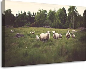 Vászonkép Canvas Natura Bárányok a legelőn 90x60 cm