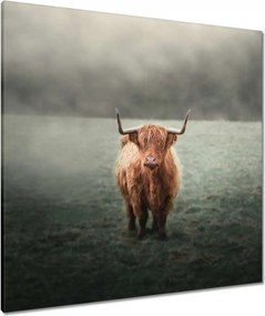 Vászonkép 80x80 Mint a szarvak Hegyi rét