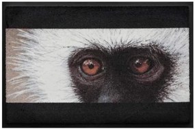 Állatos prémium lábtörlő - majom (Válassz méretet: 100*70)