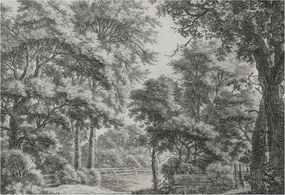 Stílusos Dekoratív Fotótapéta Flizelin Erdei táj 152x104 Ragasztó