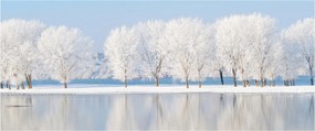 Egy kép egy téli tájról (120x50 cm)