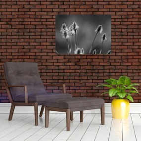 Üveg kép - Bézs színű puha fű N⁰2 (70x50 cm)