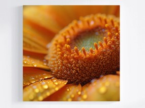 Poszter Természet Makro Fotó Virág Gerbera Aster 40x40