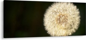 Szürke virág képe (120x50 cm)