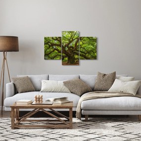 Kép - Zöld fa (90x60 cm)