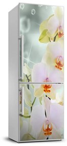 Dekor matrica hűtőre Orchidea FridgeStick-70x190-f-91133337
