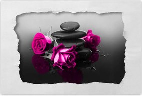 Poszterek 60x40 Rózsaszín rózsa Spa Wellness