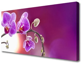 Canvas kép Virág növény természet 140x70 cm