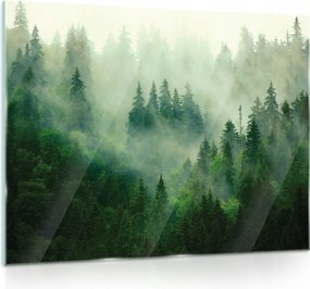 Üvegfestmény Nappaliba Erdő Természet 80x60