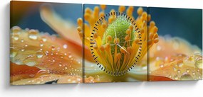 Kép - Részlet a virágból (órával) (90x30 cm)