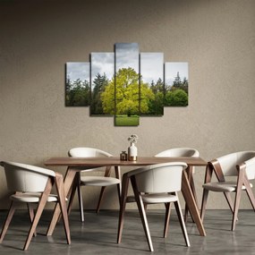 Egy zöld fa képe a mező közepén (150x105 cm)