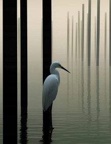 Poszter 50x65cm Köd a vízen