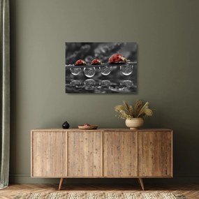Üveg kép - Napraforgó, fekete-fehér (70x50 cm)