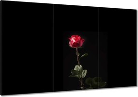 Vászonkép 120x80 Vízcseppek a rózsán