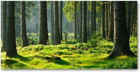 Fotó kép edzett üveg lucfenyő erdő 140x70