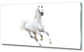 Üvegkép Fehér arab ló osh-99028092