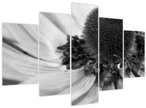 Kép - Virág fekete-fehérben (150x105 cm)