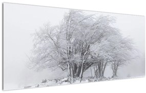 Kép - fehér tél (120x50 cm)