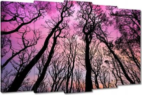 Festmények 150x95 Erdő Fák Kilátás alulról