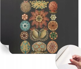 Dekoratív Öntapadós Tapéta Divatos Tengeri Minták Inspirációk 152x104 cm